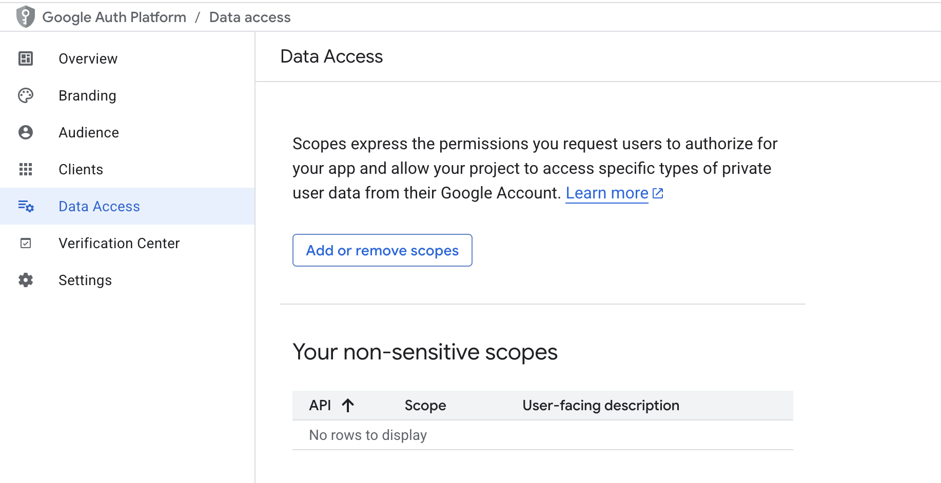 data access scope screen